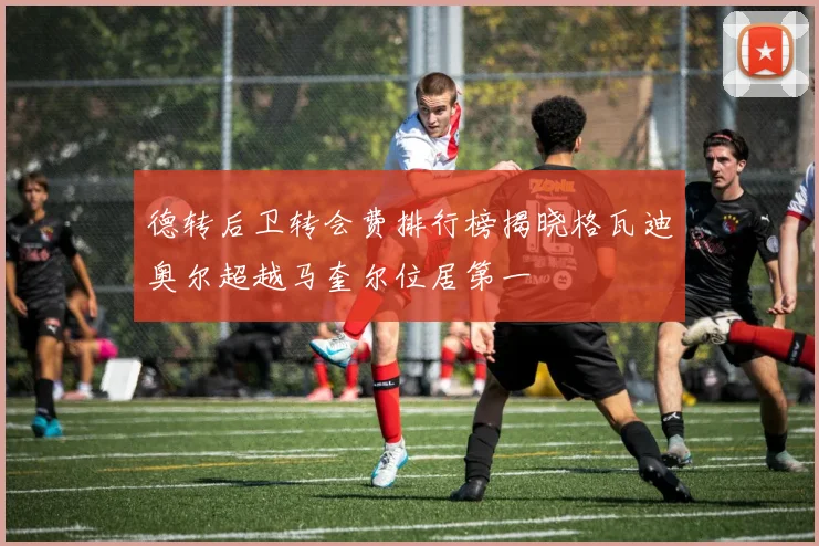 德转后卫转会费排行榜揭晓格瓦迪奥尔超越马奎尔位居第一